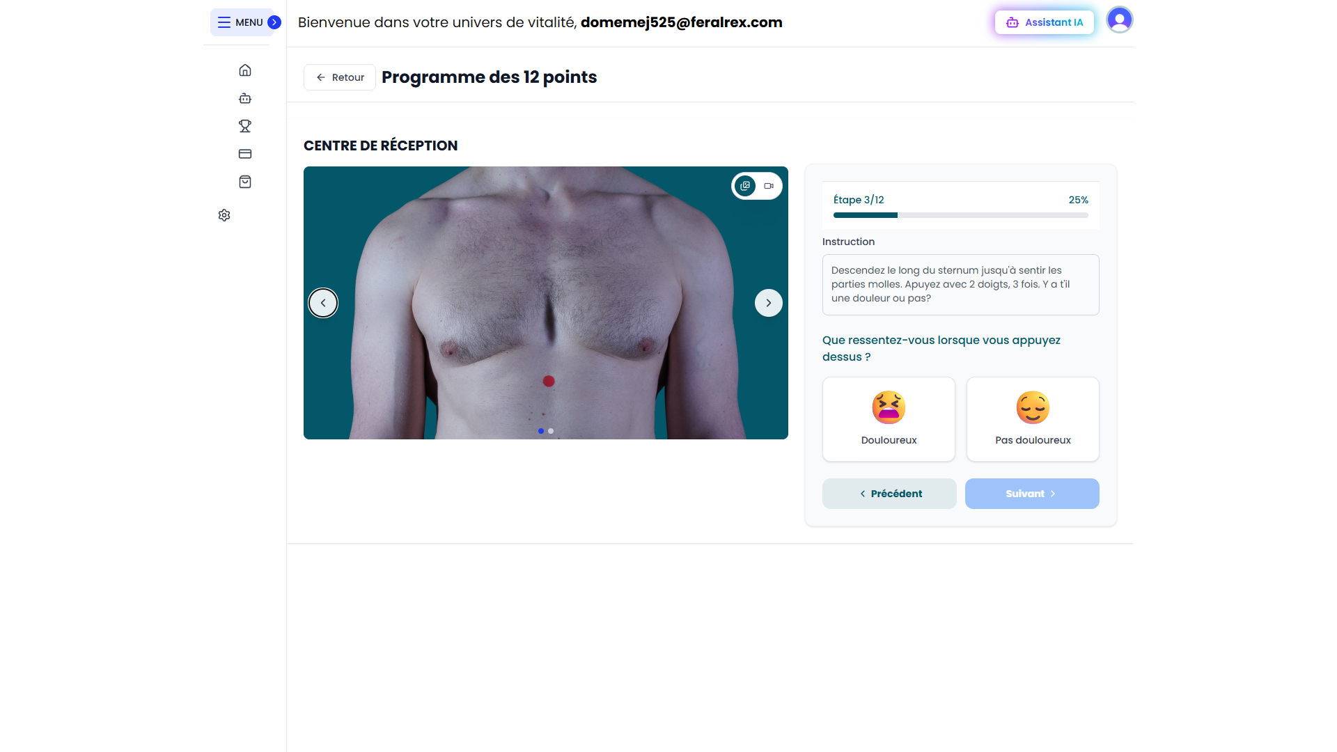 Web app 12 point program page