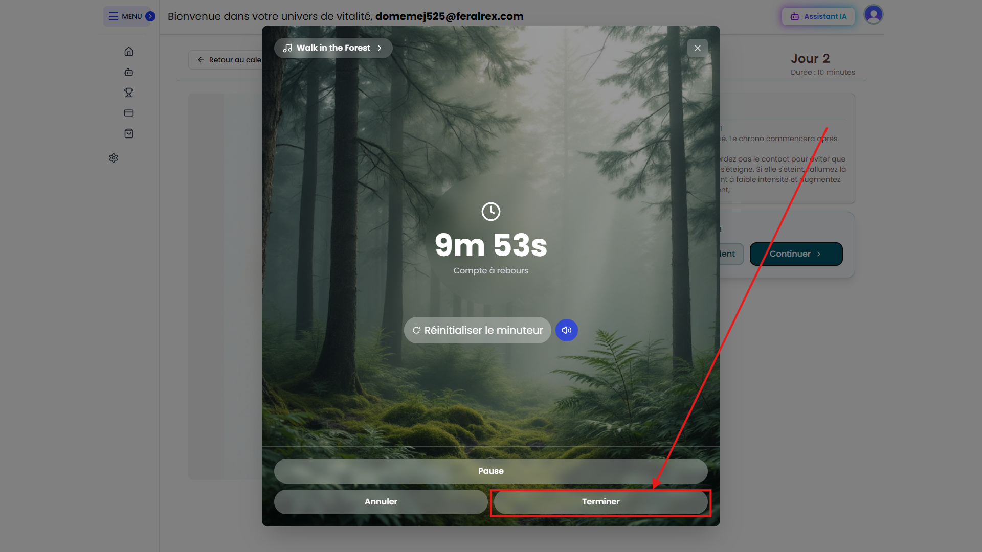 Step finish — music / summary modal